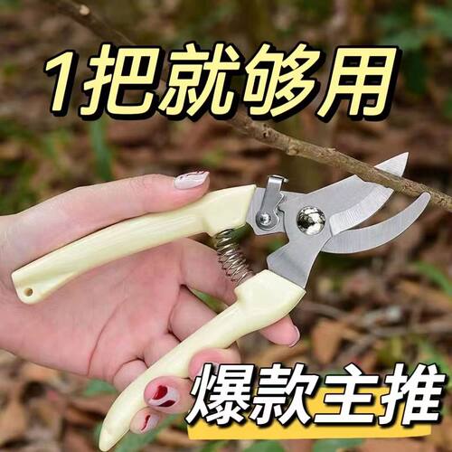 花艺师树枝园艺剪刀鲜花枝剪