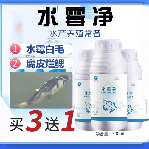 渔水灵水霉病专治鱼药腐皮烂鳃