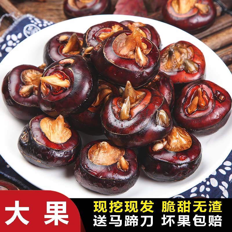 荔浦马蹄荸荠即食现挖包邮当季水果脆甜多汁化渣广西特产地梨大果