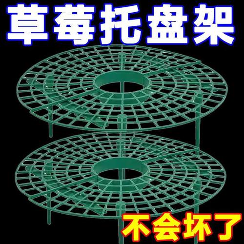 草莓支架种植立体架托盘