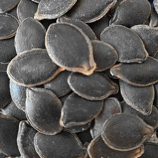 新货生籽炒制后开口生黑金刚南瓜子籽1斤5斤袋装零食特产炒货原料