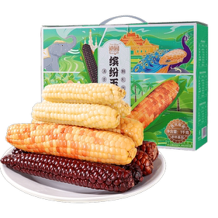 滇园 缤纷玉米礼盒1000g 香糯甜玉米花包谷 版纳拇指玉米紫糯苞米