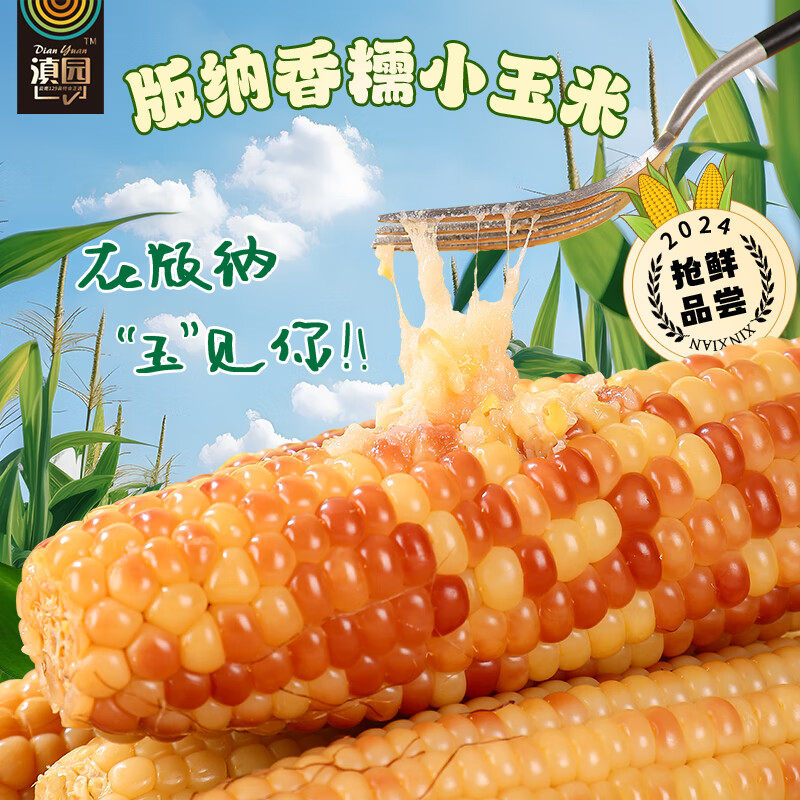 滇园西双版纳香糯小玉米2500g云南特产糯玉米真空包装加热即食,粮油调味/速食/干货/烘焙,玉米,淘宝优惠券,粉丝福利购,淘宝优惠卷