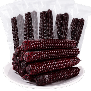 滇园 黑糯拇指玉米500g版纳糯玉米杂粮花包谷甜玉米即食早餐轻食