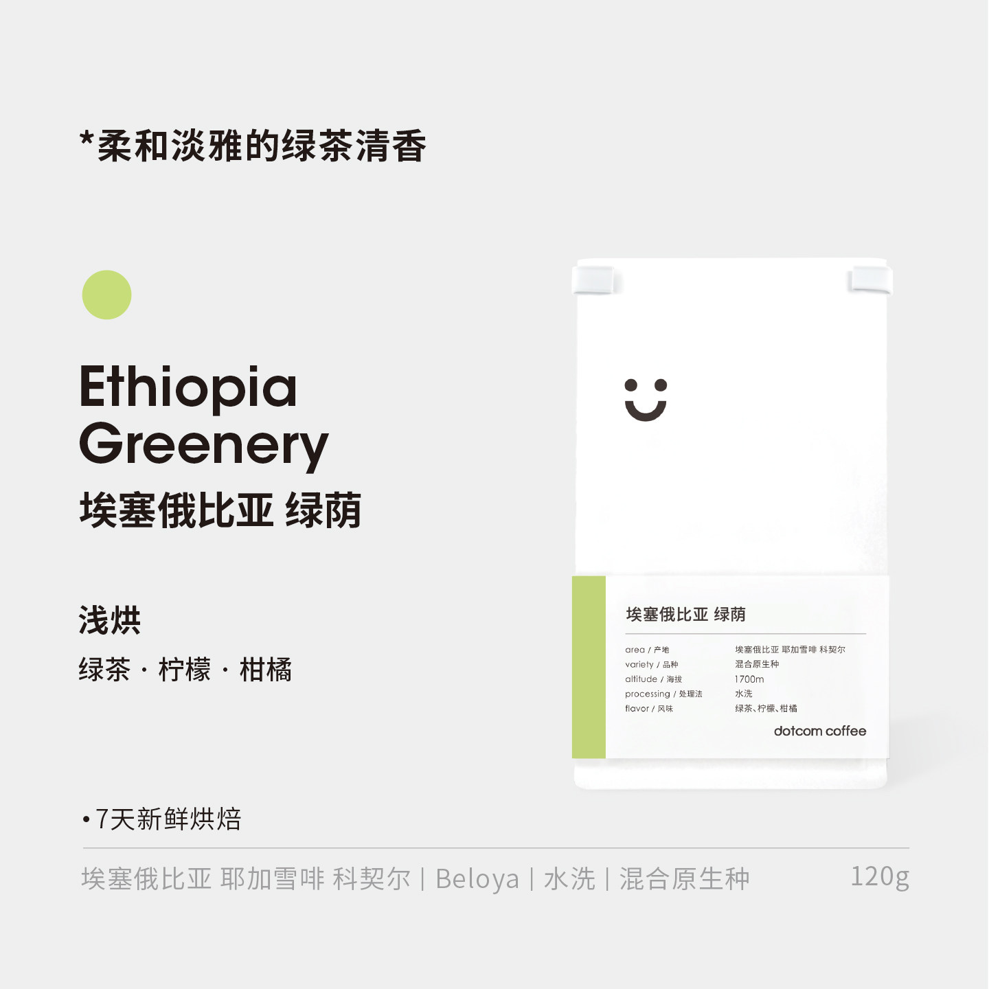 dotcom coffee绿荫埃塞俄比亚科契尔水洗原生种浅烘焙手冲咖啡豆
