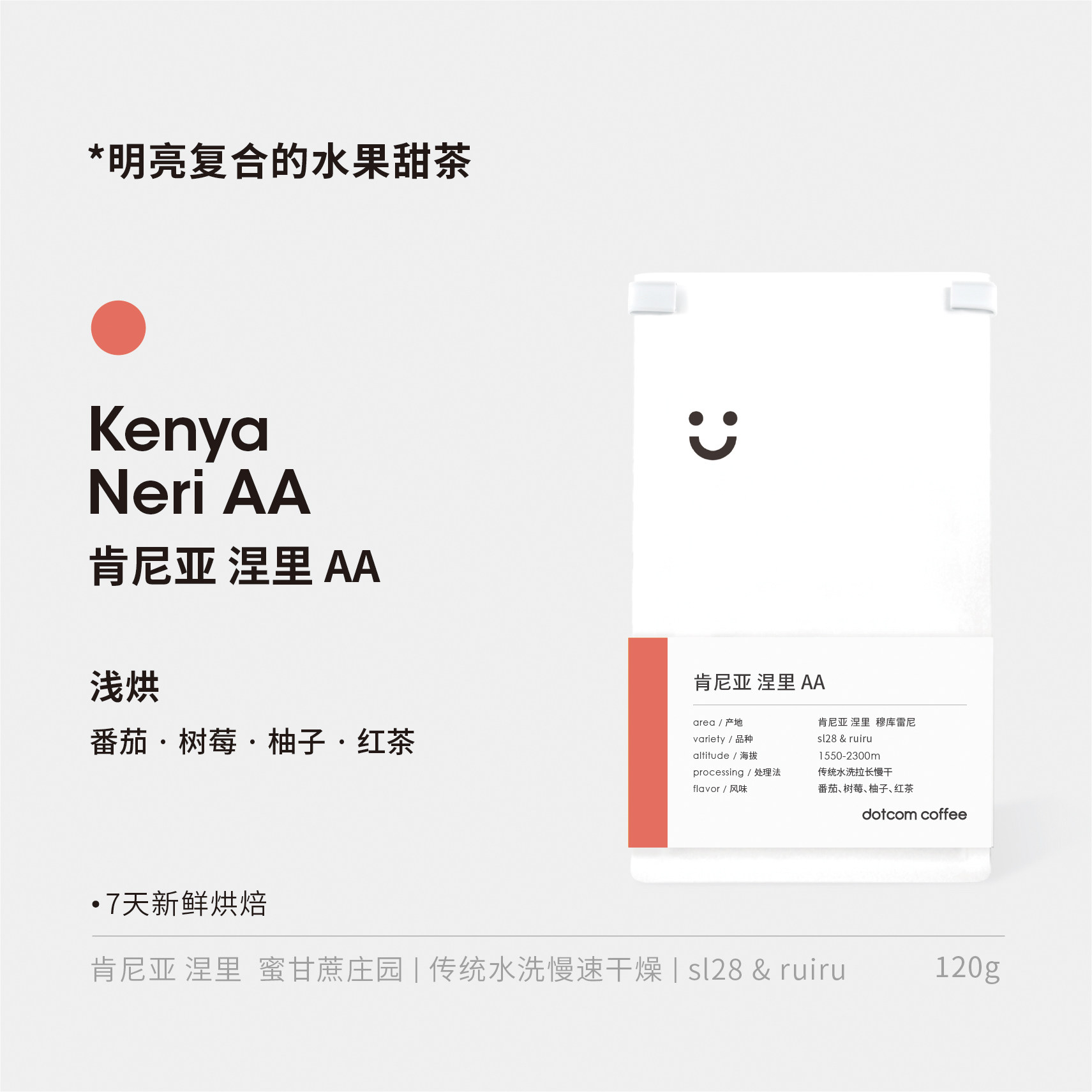 dotcom coffee 肯尼亚 涅里 AA 水洗 Sl28 ruiru浅烘焙 手冲豆
