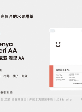 dotcom coffee 肯尼亚 涅里 AA 水洗 Sl28 ruiru浅烘焙 手冲豆
