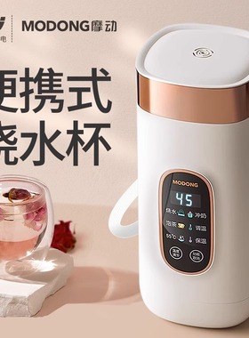 2025新款便携式烧水壶旅行恒温壶电热烧水杯迷你可上飞机出差酒店