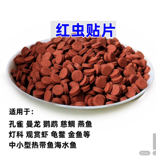 贴片鱼食小型鱼饲料孔雀鱼鱼粮灯鱼斗鱼金鱼热带鱼通用红虫丰年虾