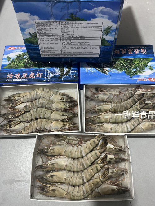 冷冻越南黑虎虾草虾鬼虾 活冻黑虎虾1-2黑虎虾8只净重500克1箱6盒