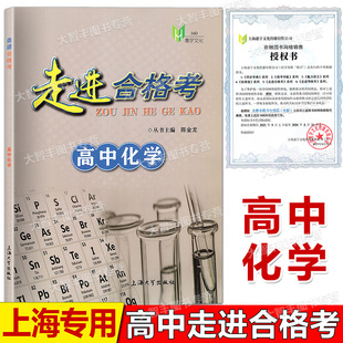 走进合格考 高中化学 考点梳理与精练+上海市普通高中学业水平合格考模拟试题 高一高二高三化学复习用书 上海大学出版社