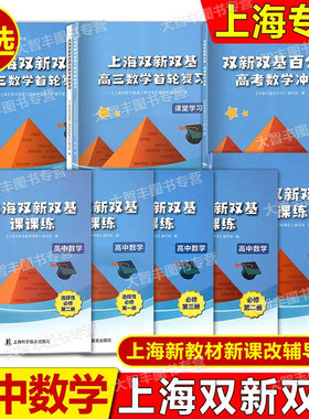 上海双新双基课课练高中数学