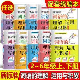 新标准词语的理解运用与积累二三四五六年级上下册23456年级第一二学期与统编本语文配套使用词语同步训练习题上海教育