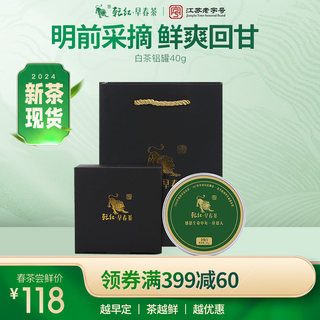 2024新茶现货 乾红早春宜兴金俊白绿茶叶罐装40g 口感同安吉白茶