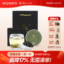 2025新茶现货 乾红早春宜兴8800明前阳羡雪芽绿茶叶自饮罐装50g