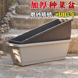 新品环球塑料中等长条盆种菜盆霍伦系列带底托草质量好拍下改运费