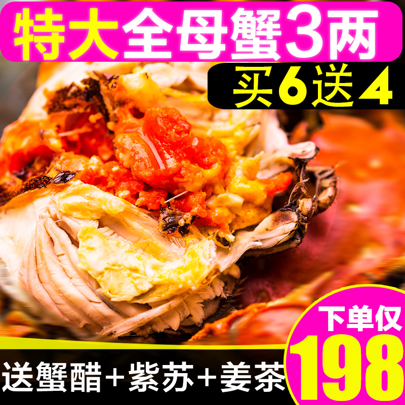 現貨陽澄湖大閘蟹特大全母蟹3.0兩公鮮活螃蟹10只禮盒裝4.0版