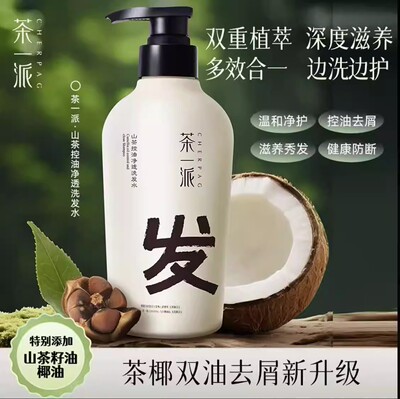 茶一派山茶控油去屑洗发水