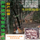 正宗土鸡蛋农家散养林下散养纯粮土鸡蛋笨鸡蛋柴鸡蛋草鸡蛋30枚