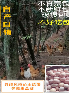小规格土鸡蛋农家散养新鲜纯农村自养天然草鸡蛋柴鸡蛋本笨鸡蛋