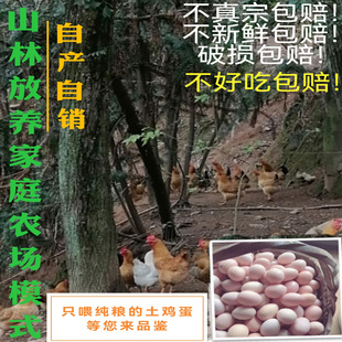 较小规格土鸡蛋农家散养新鲜纯农村自养天然草鸡蛋柴鸡蛋本笨鸡蛋
