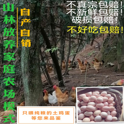 较小规格土鸡蛋农家散养新鲜纯农村自养天然草鸡蛋柴鸡蛋本笨鸡蛋