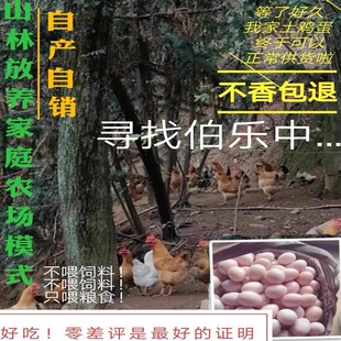 正宗土鸡蛋农家散养野外新鲜五谷蛋农村自养笨柴月子天然虫草鸡蛋
