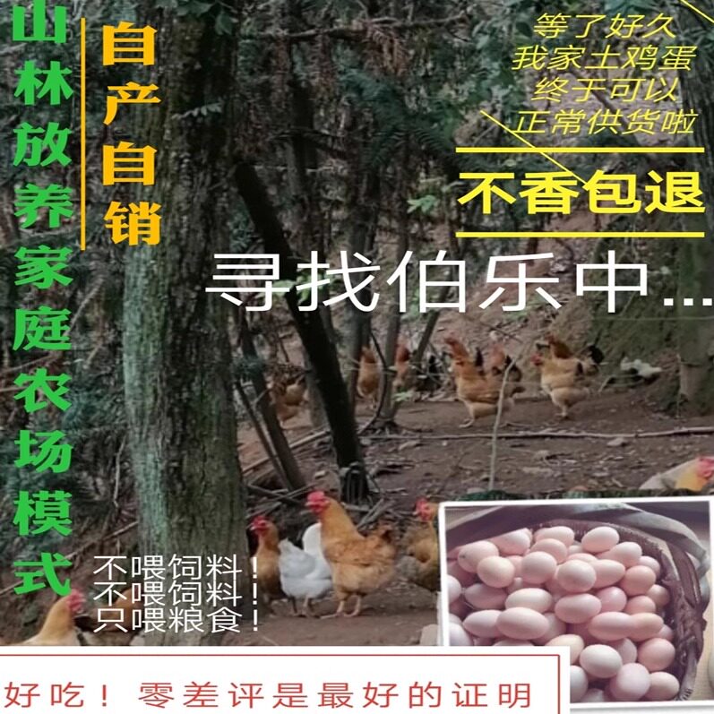 正宗土鸡蛋农家散养林下散养纯粮土鸡蛋笨鸡柴鸡蛋草鸡蛋40枚60枚