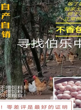 正宗土鸡蛋农家散养林下散养纯粮土鸡蛋笨鸡柴鸡蛋草鸡蛋40枚60枚