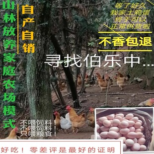 正宗土鸡蛋农家散养林下散养纯粮土鸡蛋笨鸡柴鸡蛋草鸡蛋40枚60枚