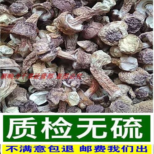 2025年无熏硫本色巴西蘑菇姬松茸