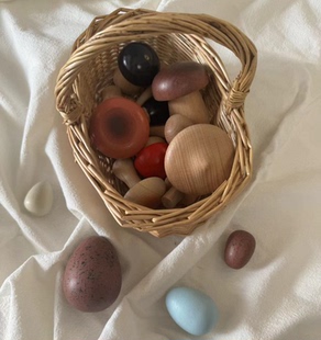 韩系儿童过家家仿真彩色鸟蛋鸡蛋提篮蘑菇摆件幼儿园科普益智玩具