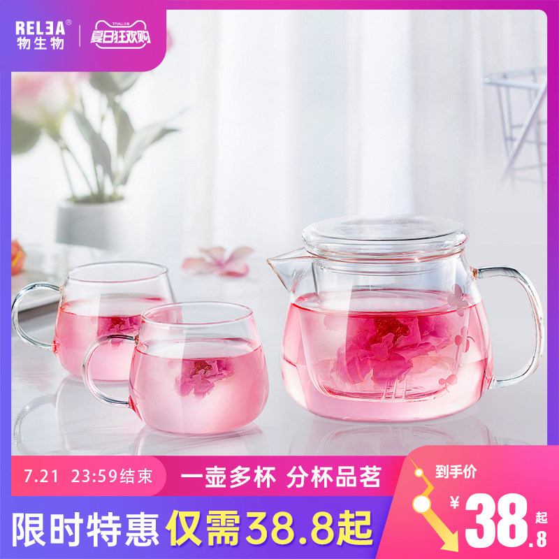 Bio heat resistant boiling teapot filter size glass