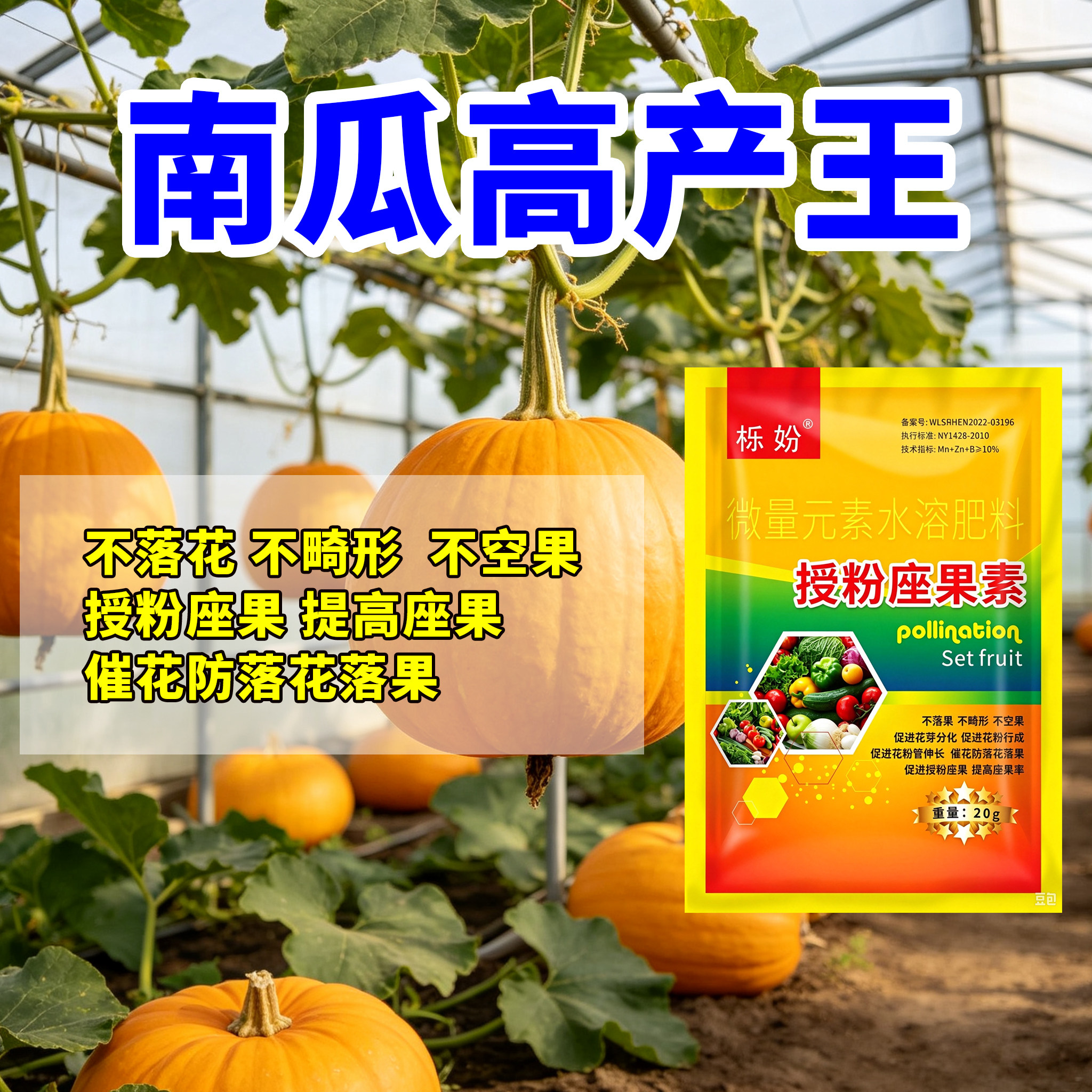 南瓜高产授粉座果素花防落花落果提高座果率新型肥料