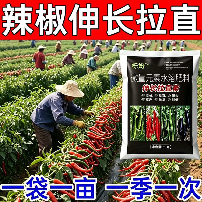 辣椒膨大拉直拉长辣椒增产增收保花保果辣椒叶面肥三不落