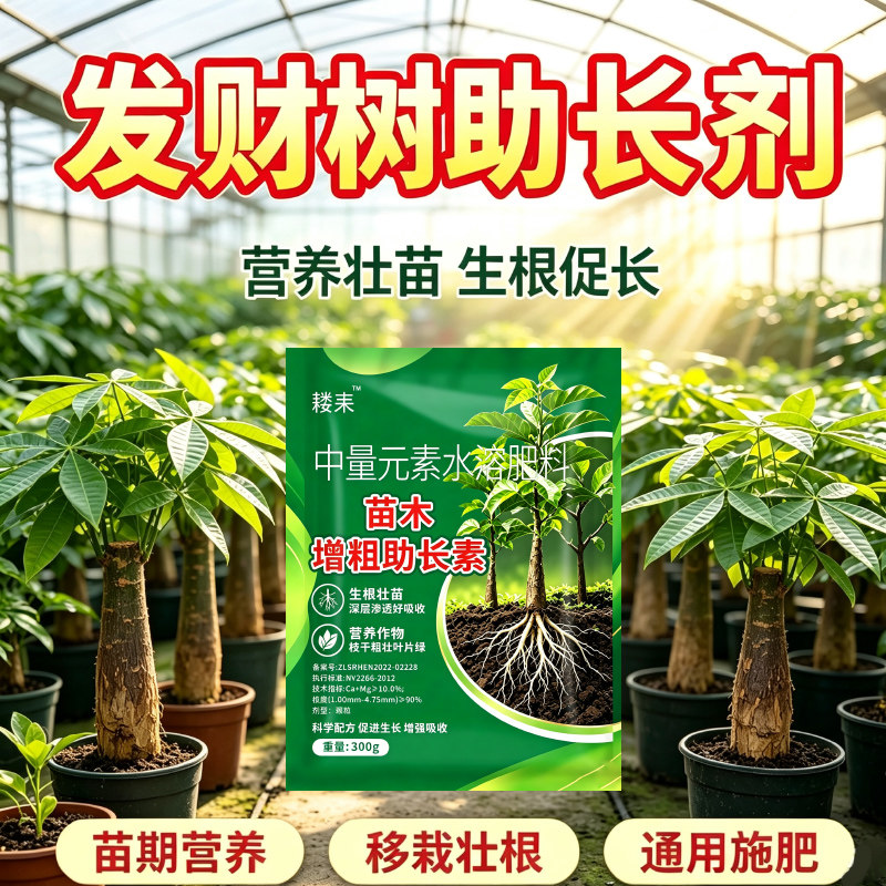发财树专用速长增粗剂果树树苗生长膨大素助长增长叶面肥树木正品