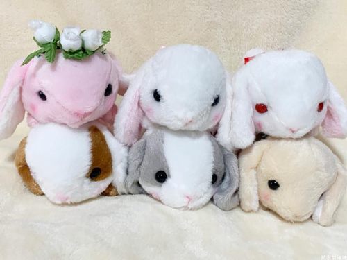 日单Amuse超萌垂耳兔毛绒