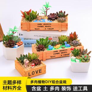 多肉植物组合盆栽手工diy材料包微景观室内新手好养暖场公司活动