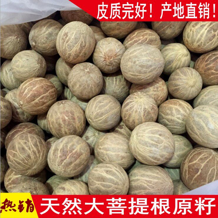 菩提子原籽白玉菩提根原料手串手链斤个大散珠高密戒指风化108颗