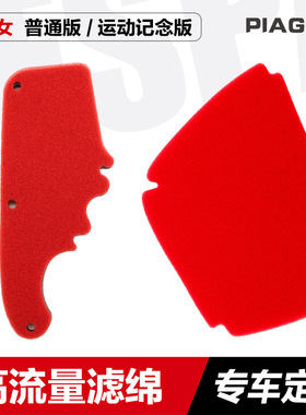 适用比亚乔淑女BYQ100T-E ZIP100运动版纪念版空滤芯空气过滤海绵
