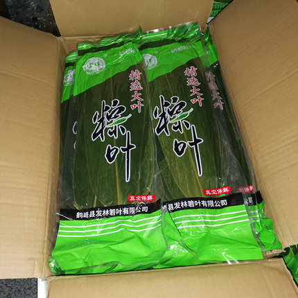 新鲜粽叶箬叶粽子叶商用大号鲜粽叶端午节包大粽叶50片*50包一箱