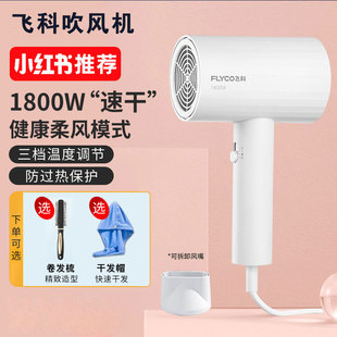 飞科电吹风机家用大功率宿舍用学生负离子护发恒温静音速干吹风筒