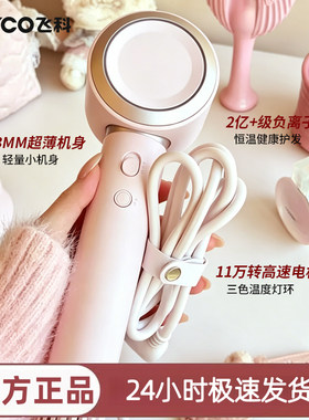 飞科高速电吹风机FH6371