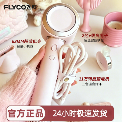 飞科高速电吹风机FH6371