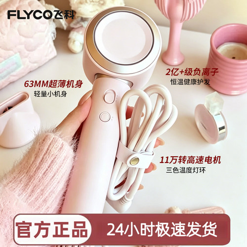飞科高速电吹风机FH6371