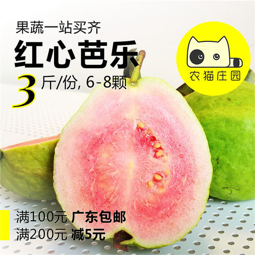 红心芭乐 3斤 红肉番石榴 农猫庄园 深圳新鲜水果 果汁奶茶店食材