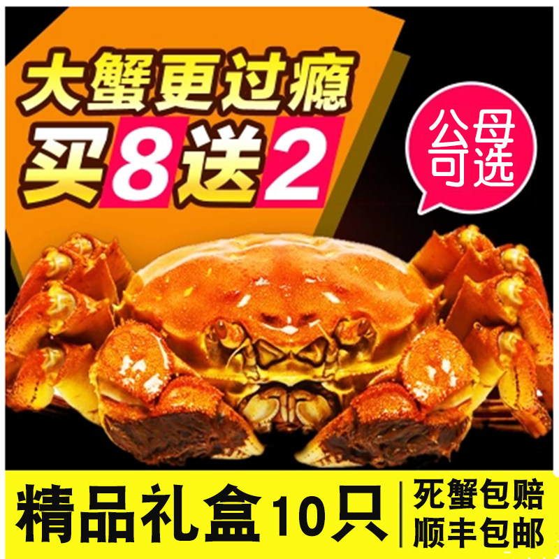 【活蟹】现货公4.0两母3.0两特大10只装大闸蟹可全母鲜活螃蟹礼盒在类目 水产肉类/新鲜蔬果/熟食, 海鲜/水产品/制品, 蟹类, 大闸蟹中 - 来自Buy2taobao.com提供专业的淘宝代购服务