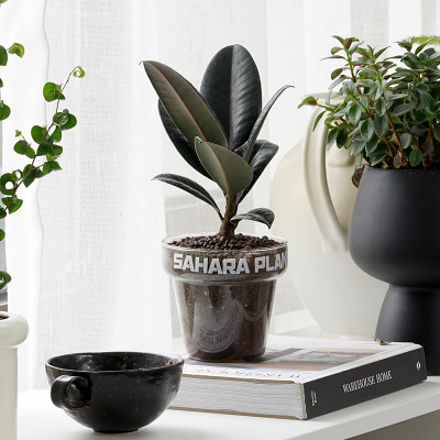 客厅办公桌净化空气吸甲醛美观