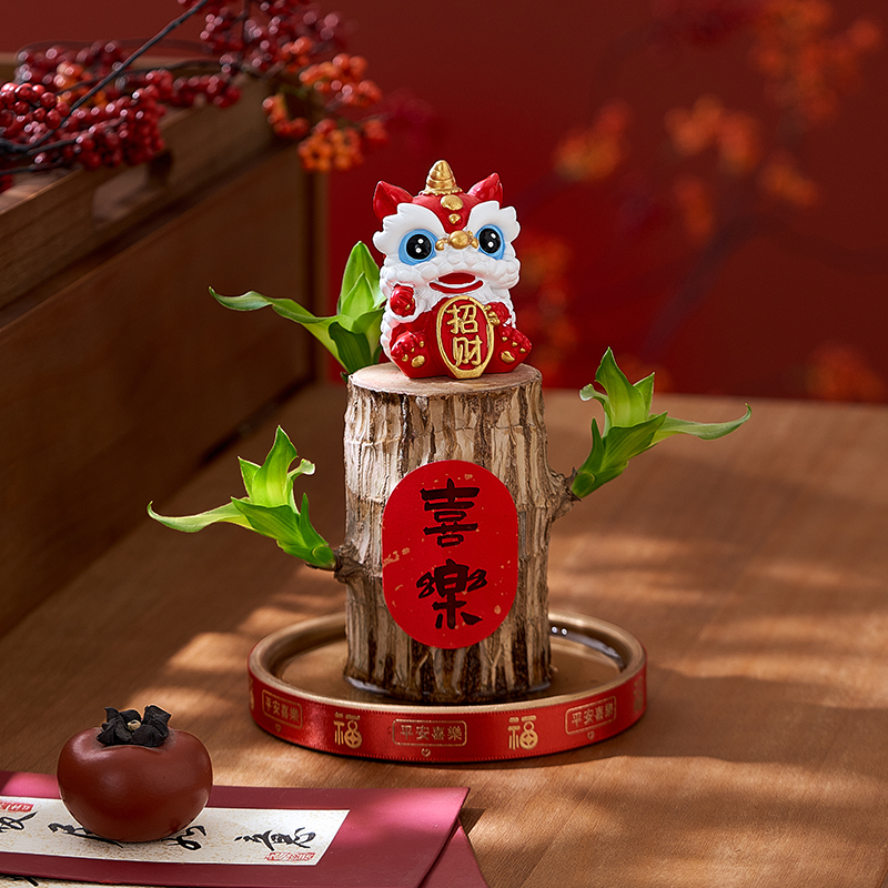 新年喜庆版水培幸运巴西木绿植