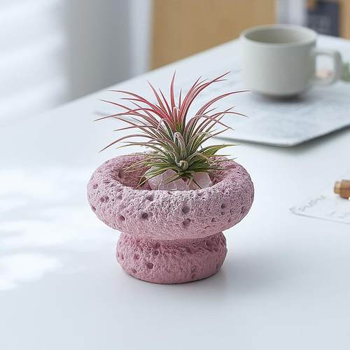 可爱精灵球玻璃微景观